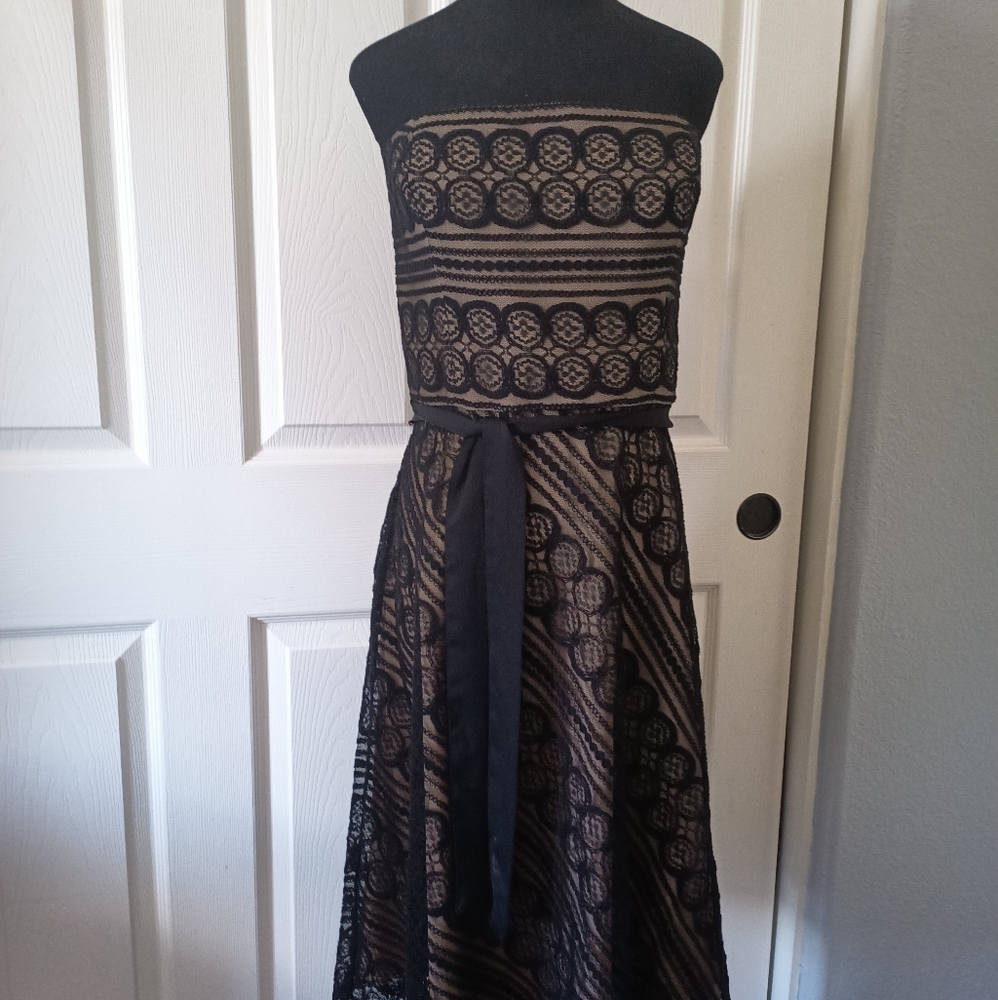 Ann Taylor Loft Black Lace Strapless Dress Size 6